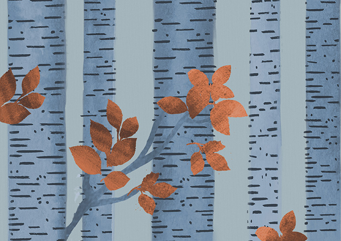 Birch Tree Velvet, Autumn - Twist&Fit Roman Blind - Image 7